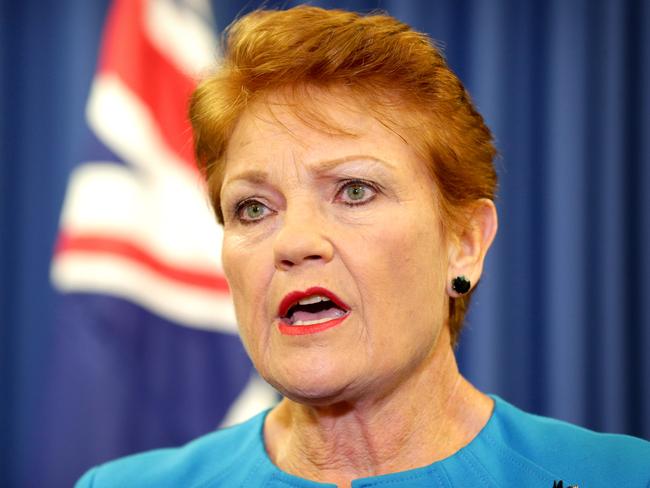 Pauline Hanson. Picture: Steve Pohlner