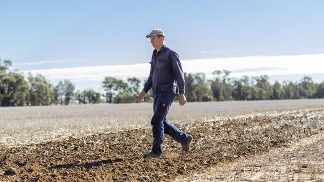 Lawrence Springborg at his property. Picture: Mark Cranitch