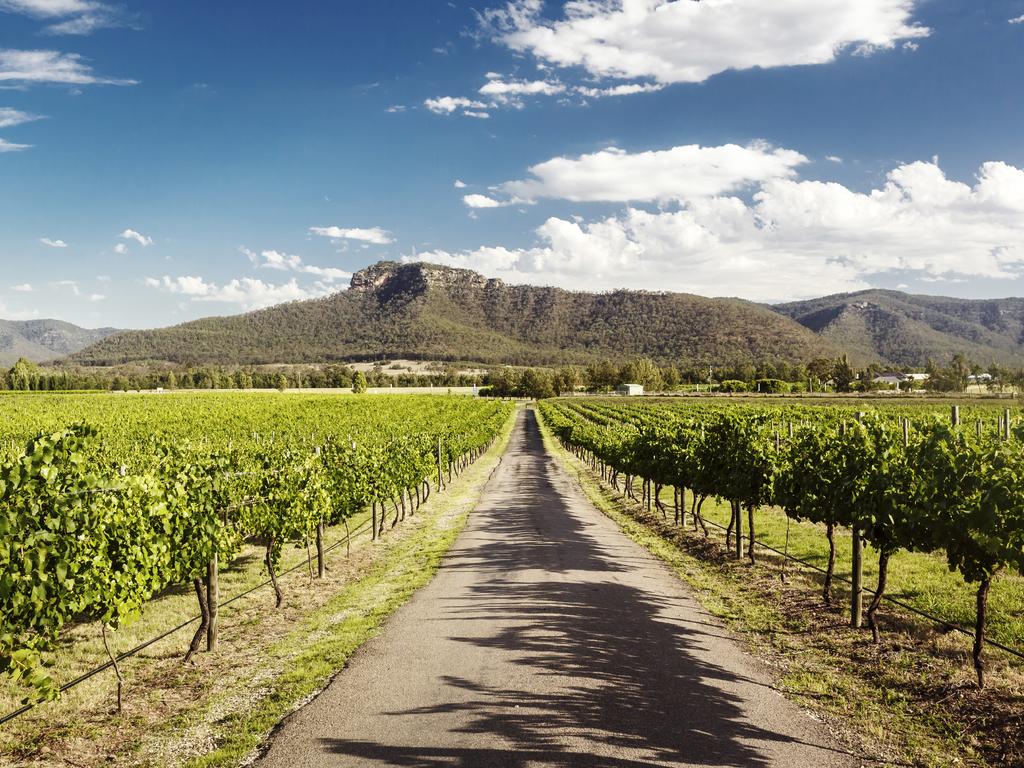 The Hunter Region was a standout performer on sales activity. Picture: iStock