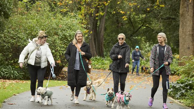 Million Paws Walk in the Adelaide Botanic Gardens, Sunday, May 28, 2023. Picture: Matt Loxton