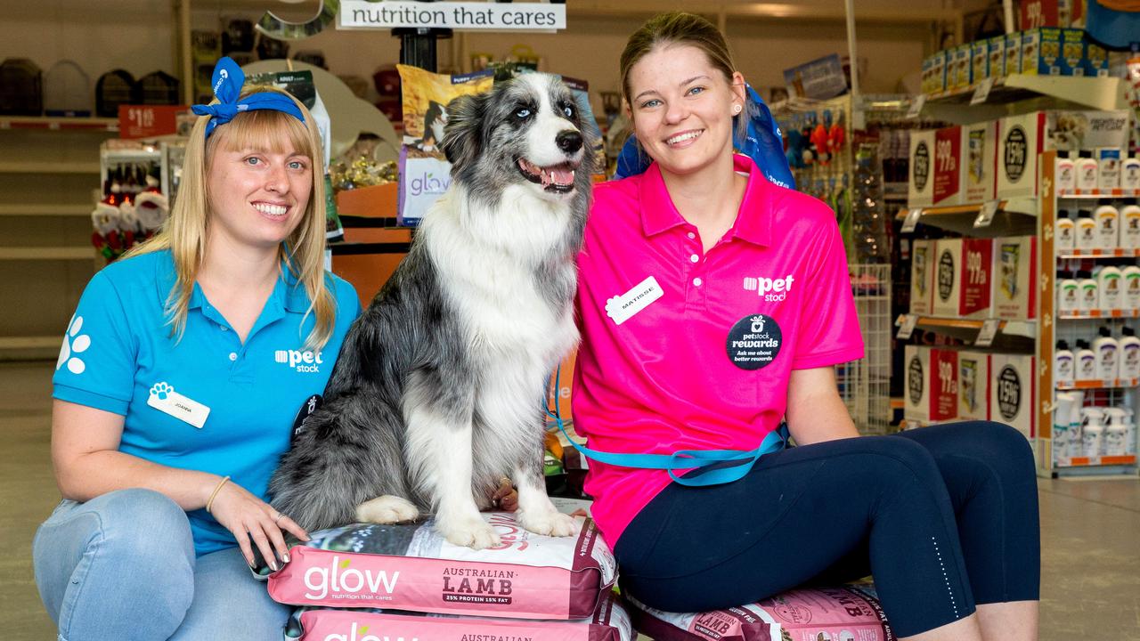 Caboolture and Bribie Island pet owners can get their furry