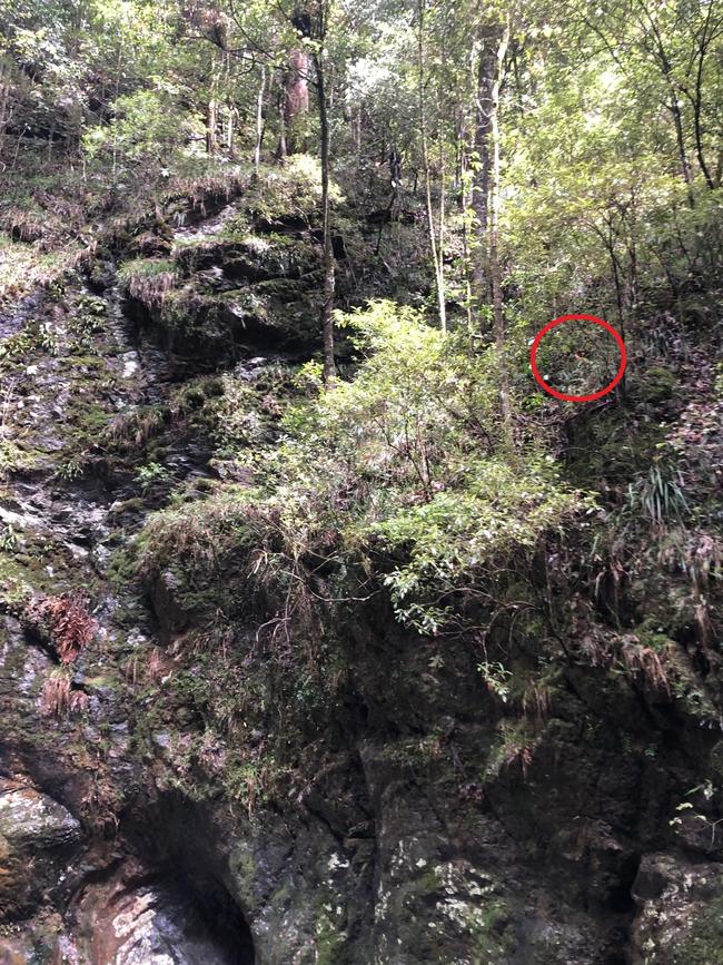 Yang Chen perched on the cliff where she was discovered.