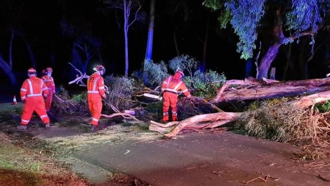 SES crews respond after wild winds hit Melbourne. Picture: Facebook