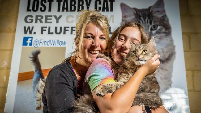 Willow the Cat has been reunited with Julianne Beck and her daughter Sienna, 22 months after she disappeared from their home in The Basin. Picture: Jake Nowakowski