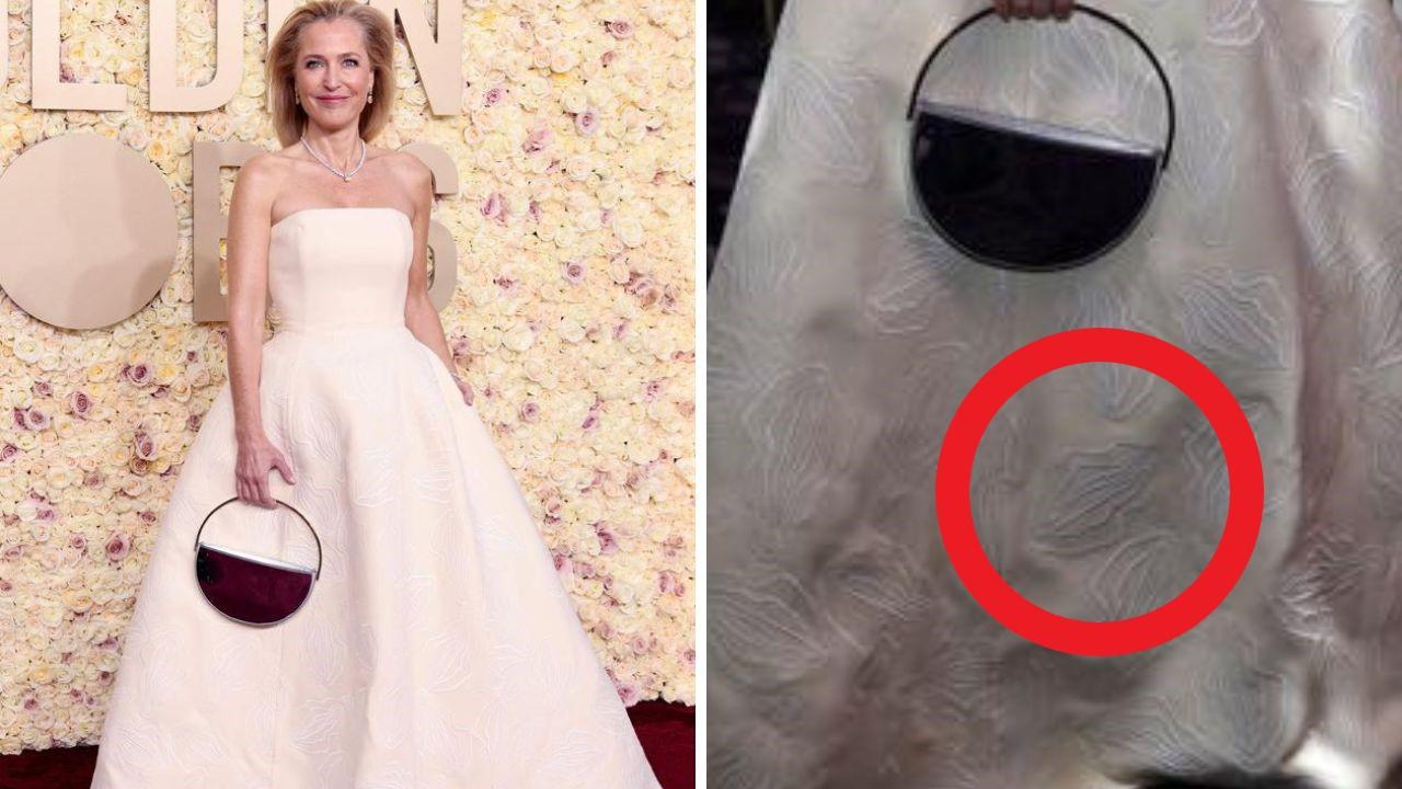 Glaring Issue With Gillian Andersons Vagina Dress At Golden Globes The Chronicle