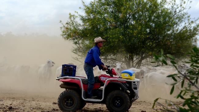 It has been established beyond doubt that riding a quad bike carries a degree of risk.