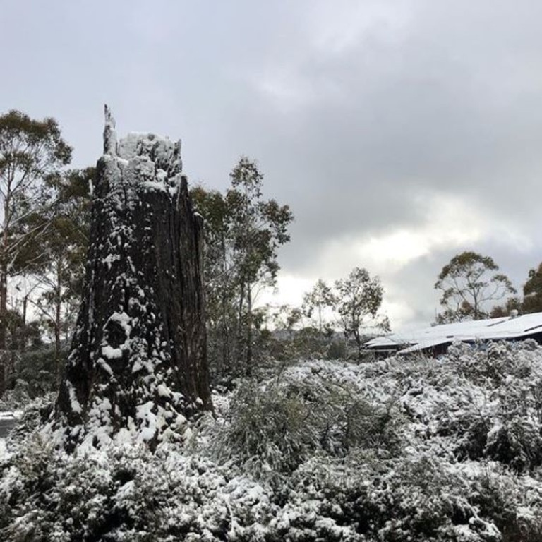 Snow in Cradle Mountain. Picture: @talana.cook