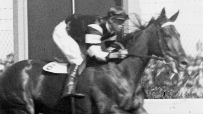 Phar Lap wins the 1930 Melbourne Cup