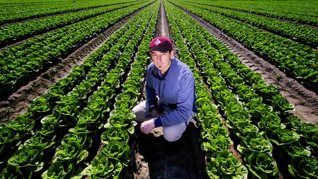 Vegetable grower Paul Gazzola has been forced to plough some crops back into the ground, as he experiences a reduction in staff due to the ongoing Covid-19 outbreak.