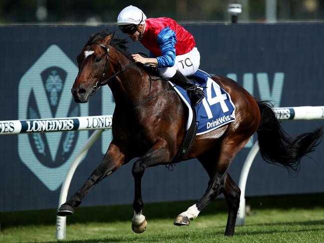 SYDNEY, AUSTRALIA - NOVEMBER 26: Tim Clark riding Dajraan wins Race 8 the Furphy Festival Stakes during Sydney Racing at Rosehill Gardens on November 26, 2022 in Sydney, Australia. (Photo by Jason McCawley/Getty Images)