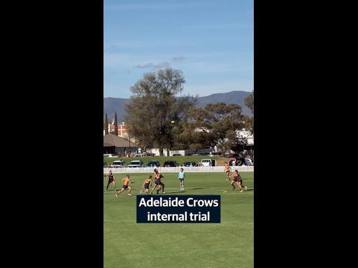 Adelaide Crows internal trial