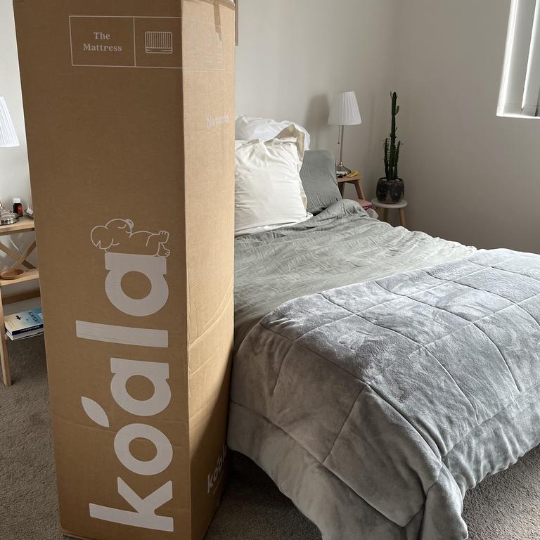 Koala bed in a shop box