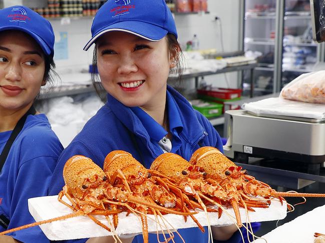 WEEKEND TELEGRAPH - 15/12/20*** MUST NOT PUBLISH BEFORE CHECKING WITH PIC EDITOR JEFF DARMANIN ***Emily Villamarin (left) and Agnes Fabiola pictured at Musumeci Seafood in the Sydney Fish Markets holding Western Rock Lobsters currently selling for under half price. Picture: Sam Ruttyn