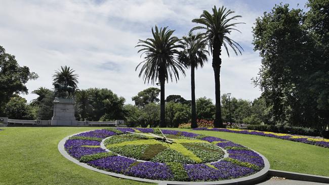 A snake has been spotted in the Queen Victoria Gardens, experts advise to stay away.