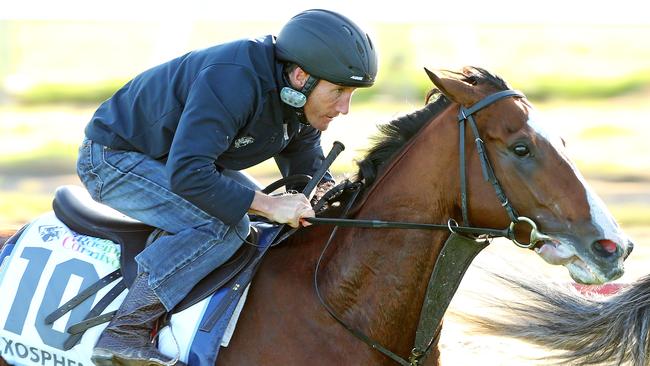 Morning trackwork at Werribee International Horse Centre ahead of the 2016 Caulfield Cup. Damien Oliver aboard Lee Freedman trained Exosphere. Picture: Mark Stewart