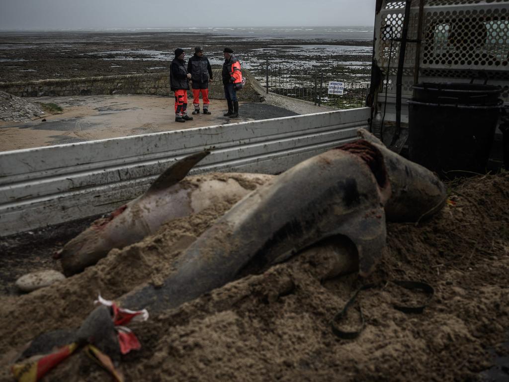 The State Council has given the government six months to establish no-fishing zones. Picture: Philippe Lopez/AFP