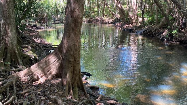 Berry Springs opened on Saturday to eager crowds looking to take a dip. Picture: Supplied