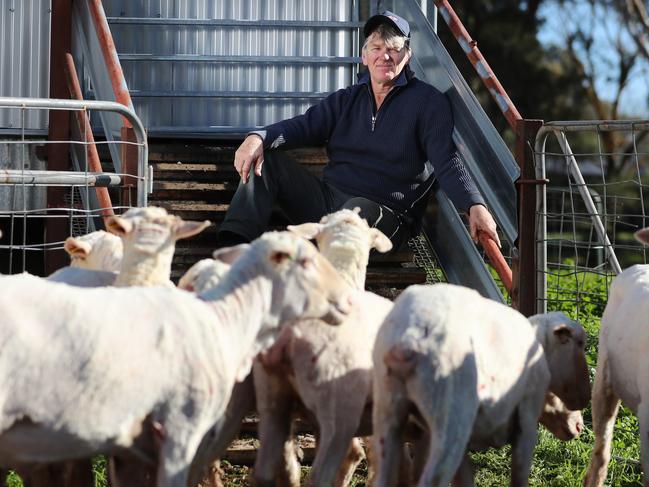 Wool grower Tony Holt says “the China situation” has halved Aussie wool prices. Picture: Alex Coppel.