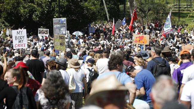 The crowd in the City Botanic Gardens. Picture: NCA NewsWire / Josh Woning