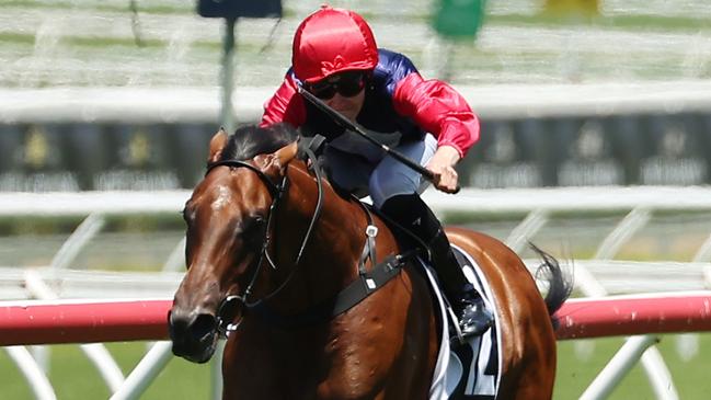 SYDNEY, AUSTRALIA - JANUARY 25: Zac Lloyd riding Open Secret   win Race 1 The Agency Real Estate Handicap during Sydney Racing at Royal Randwick Racecourse on January 25, 2025 in Sydney, Australia. (Photo by Jeremy Ng/Getty Images)