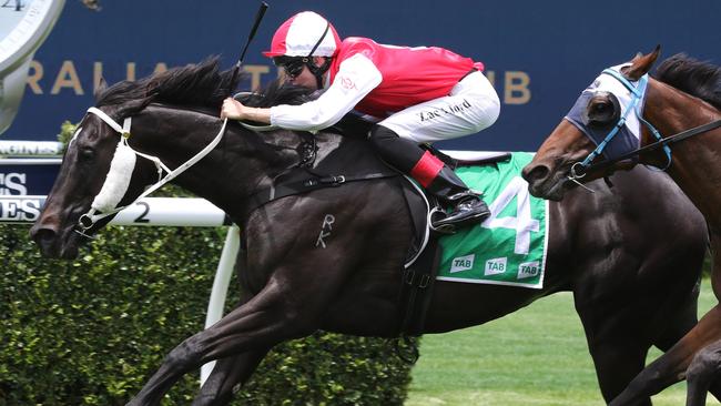 King Of Spades can land a second TAB Highway win. Picture: Grant Guy