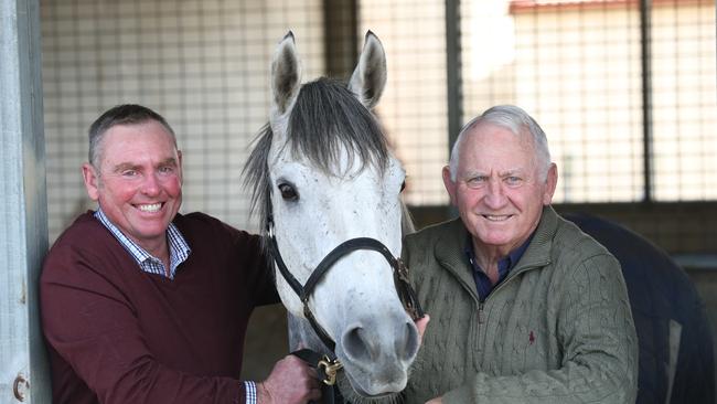 Leon Macdonald (right) and son-in-law Andrew Gluyas at their Morphettville stables. Picture: Tait Schmaal.