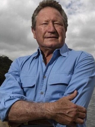 Mining billionaire Andrew Forrest.