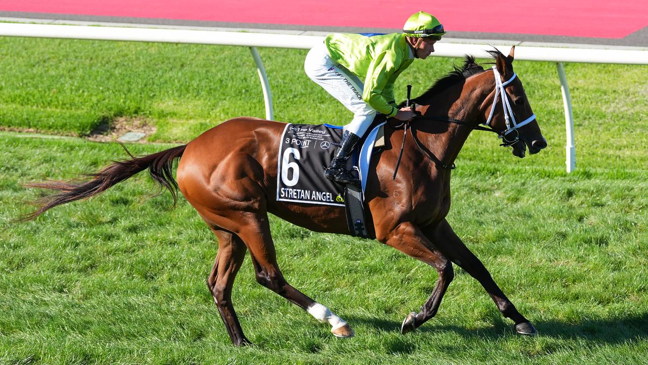 Stretan Angel has the right form credentials to make her presence felt in the Robert Sangster Stakes at Morphettville on Saturday. Photo: Scott Barbour/Getty Images.