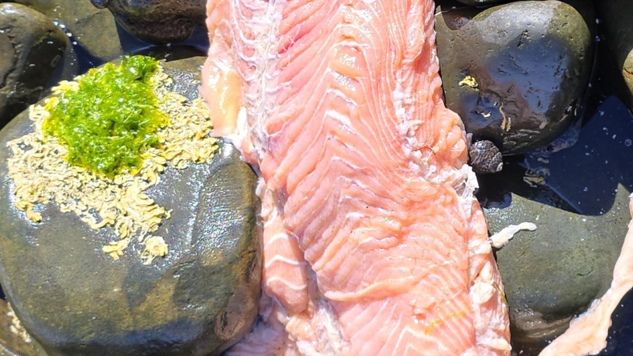 Imaged supplied by the Bob Brown Foundation showing fish matter washed up on Bruny Island