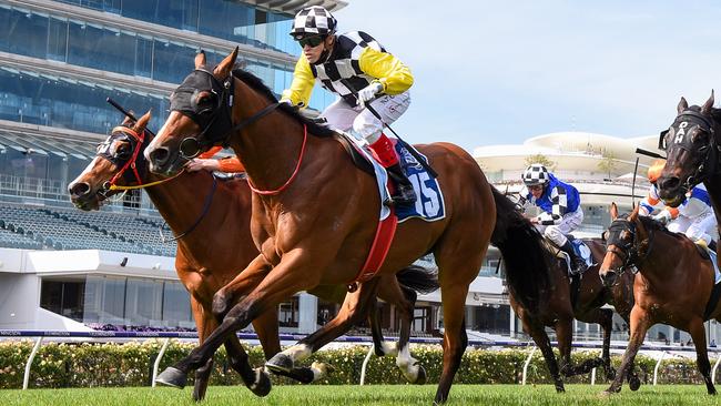 Purple Sector wins the Furphy Plate during Cup Week before a vacant public area.