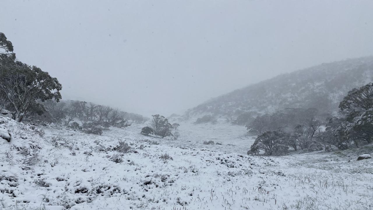 Spencers Creek between Perisher Resort and Charlotte Pass coated in snow. Source: Steve Smith Picture: Weatherzone