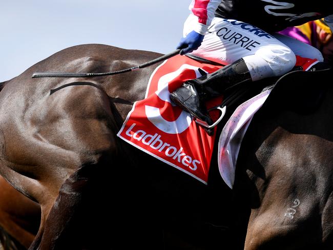 Torreggiante ridden by Luke Currie who whips the horse as they win race 3 during the Ladbrokes Park Race Day at Sandown Lakeside Racecourse, Sandown Park Hillside in Springvale, Melbourne, Wednesday, August 30, 2017. (AAP Image/Tracey Nearmy) NO ARCHIVING, EDITORIAL USE ONLY