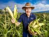 $200 million-plus offers tipped for Queensland family’s farms