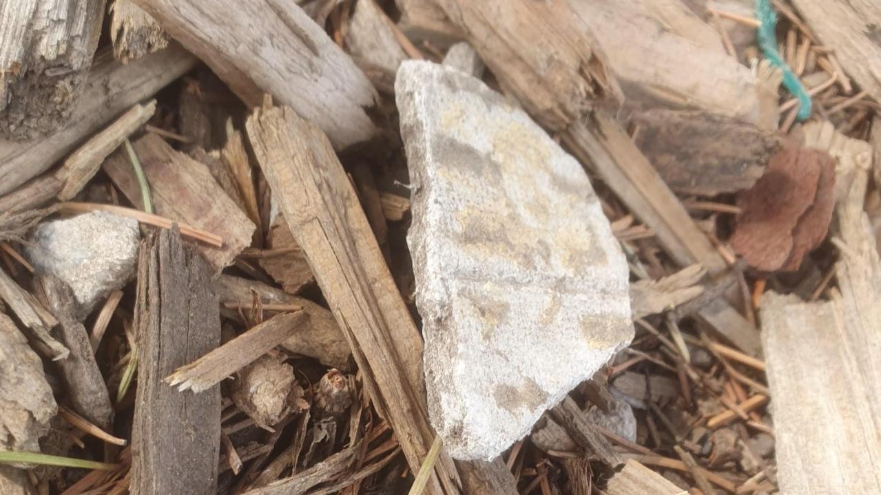 Building materials discovered at Spotswood's Donald McLean Reserve. Picture: Reddit