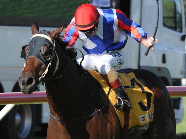 Honey Toast takes out the Toowoomba Cup. Picture: Grant Peters, Trackside Photography.