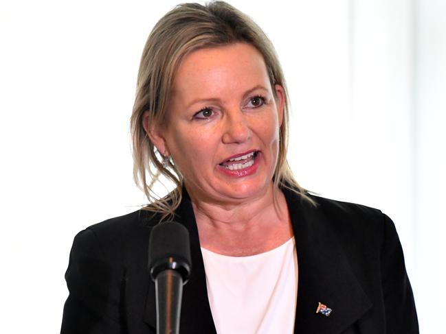 Environment Minister Sussan Ley. Picture: AAP Image/Mick Tsikas