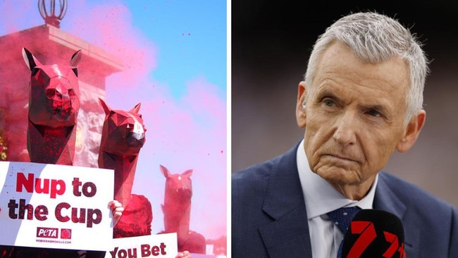 Melbourne Cup protesters and Bruce McAvaney. Photos: Supplied/News Corp