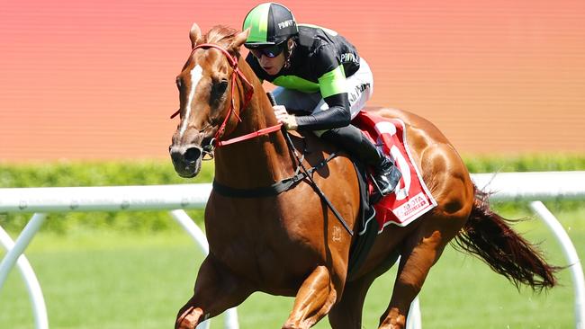 SYDNEY, AUSTRALIA - JANUARY 04: Josh Parr riding Accredited  win Race 4 Toyota Forklifts during Sydney Racing at Royal Randwick Racecourse on January 04, 2025 in Sydney, Australia. (Photo by Jeremy Ng/Getty Images)