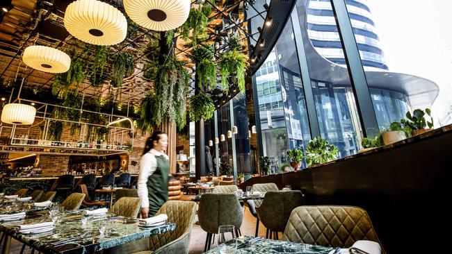 The light-and-bright atrium at Omnia. Pictures: Nicole Cleary