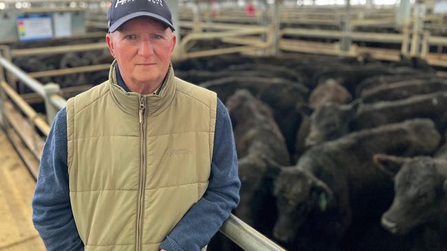 Rob Ferguson from Bowmans Forest sold 140 Angus steers and prices reached 491c/kg and $1310 at the Wangaratta feature store cattle sale.