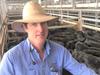 heifer values were similar to a week ago
