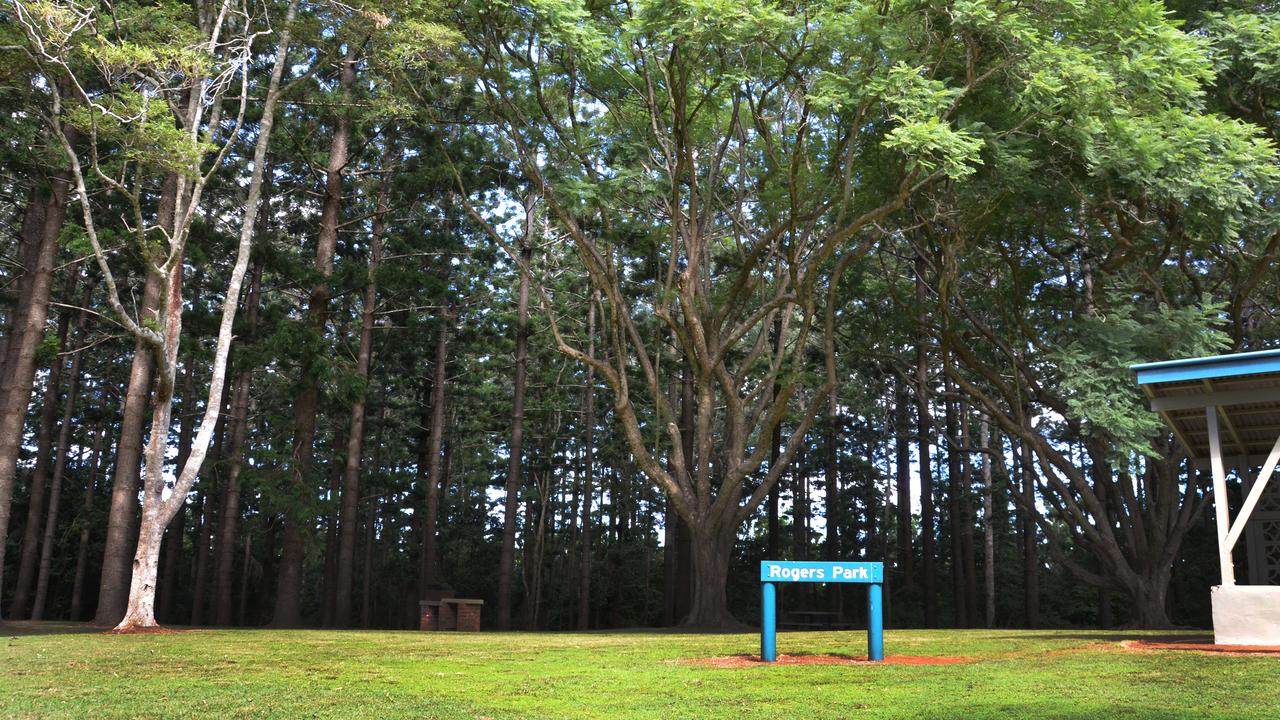 ROGERS PARK: Perfect picnic spot in the forestry at Yarraman. Photo: Contributed.