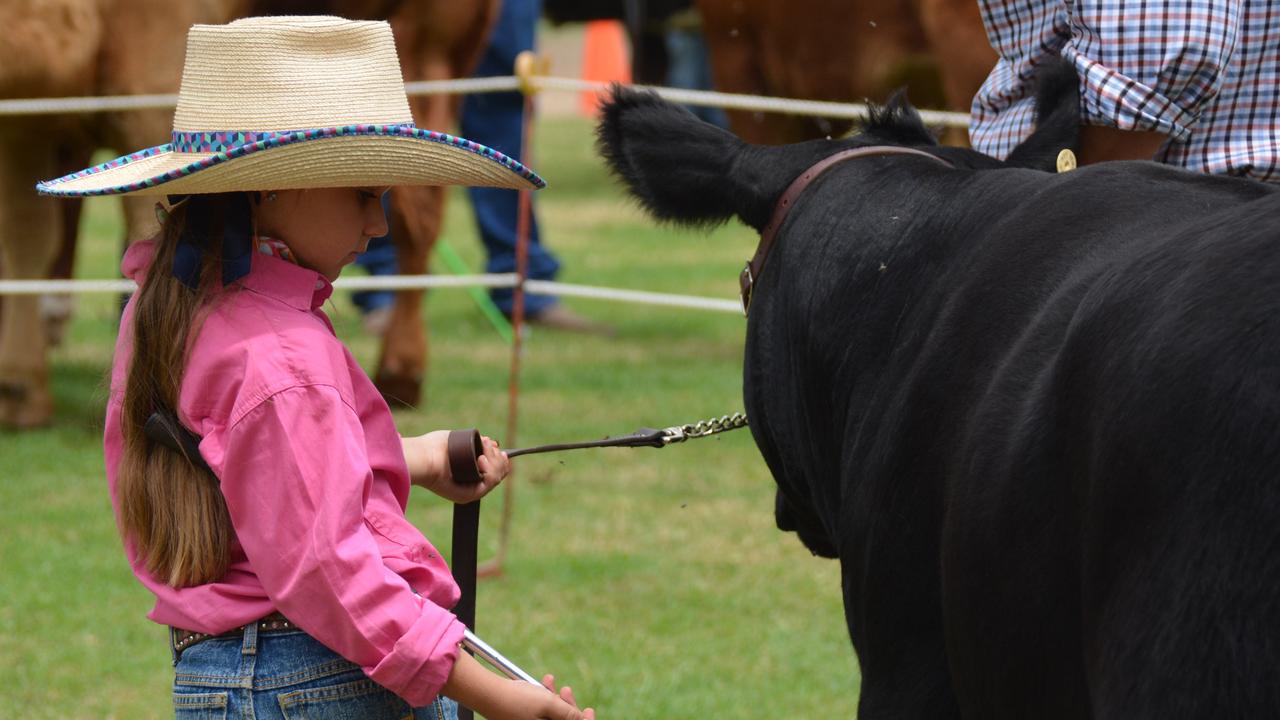 At the 71st Annual Cooyar Show.