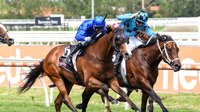 Endanger, ridden by Jye McNeil, gains the upper hand in the Gothic Stakes.