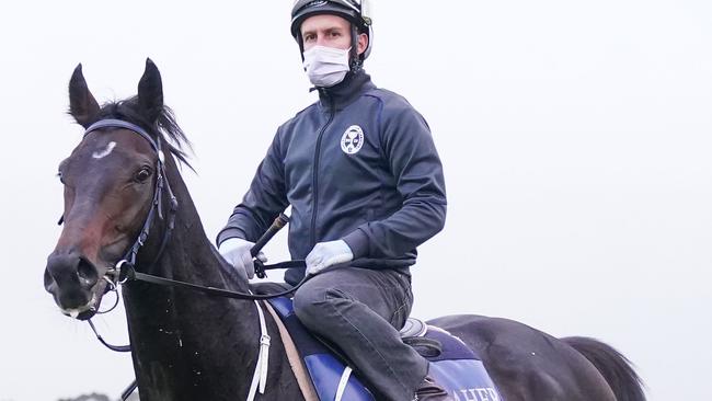 Sir Dragonet shares favouritism with Tiger Moth and Anthony Van Dyke. Picture: Scott Barbour/Racing Photos via Getty Images