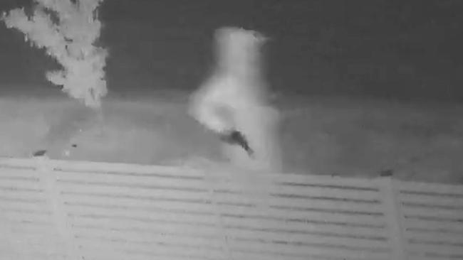 CCTV footage shows a man, alleged to be holding a gun, who police want to speak with in regards to a shooting at a Carrara home.