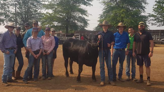 Maclean High School students are about to start competing in steer competitions.