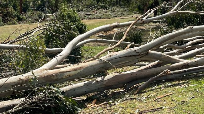 Storm damage in Mirboo North. Picture: South Gippsland MP Danny O’Brien.