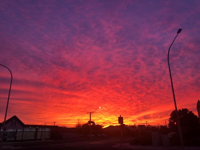 Sunset at Oaklands Park. Photo: ristina Hebdon.