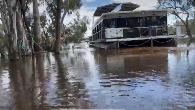 Houseboat mooring area at Foxtale Houseboats, Morgan, December 6, 2022 Picture: Supplied